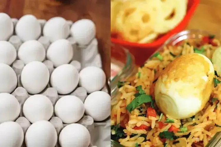 Kerala की आंगनवाड़ी कार्यकर्ताओं ने चावल और अन्य आवश्यक वस्तुओं की कमी की शिकायत Kerala की आंगनवाड़ी कार्यकर्ताओं ने चावल और अन्य आवश्यक वस्तुओं की कमी की शिकायत