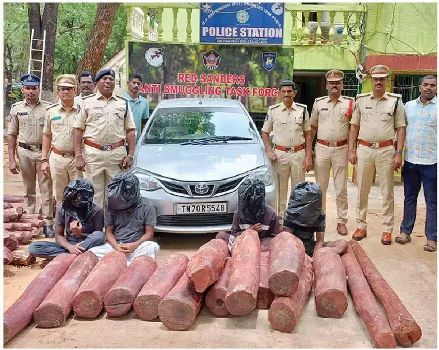 Andhra: 4 लाल चंदन तस्कर गिरफ्तार, 15 लट्ठे जब्त