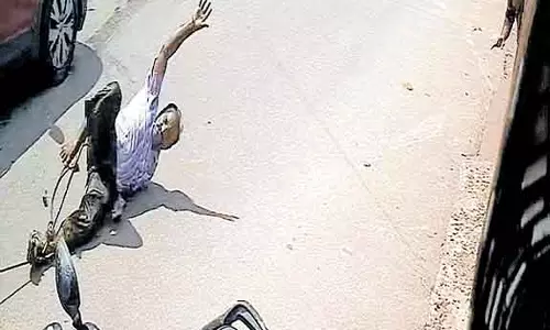 Kollam में व्यस्त सड़क पर भैंस द्वारा घसीटे गए व्यक्ति को भाग्यशाली तरीके से बचाया