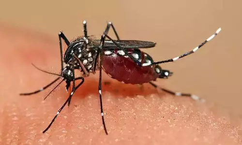 Hyderabad में दो सप्ताह में डेंगू के 42 मामले सामने आए Hyderabad में दो सप्ताह में डेंगू के 42 मामले सामने आए