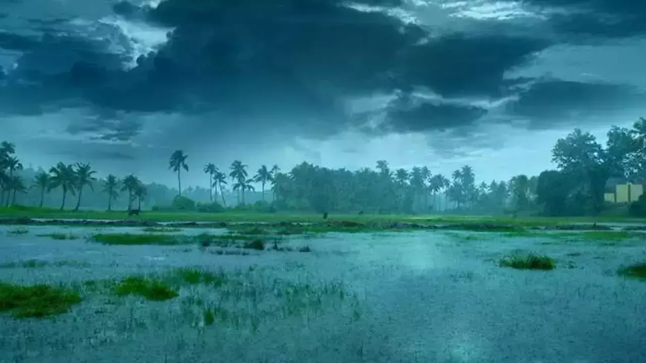 दक्षिण-पश्चिम मानसून अगले तीन दिनों में देश में फैल जाएगा: IMD दक्षिण-पश्चिम मानसून अगले तीन दिनों में देश में फैल जाएगा: IMD