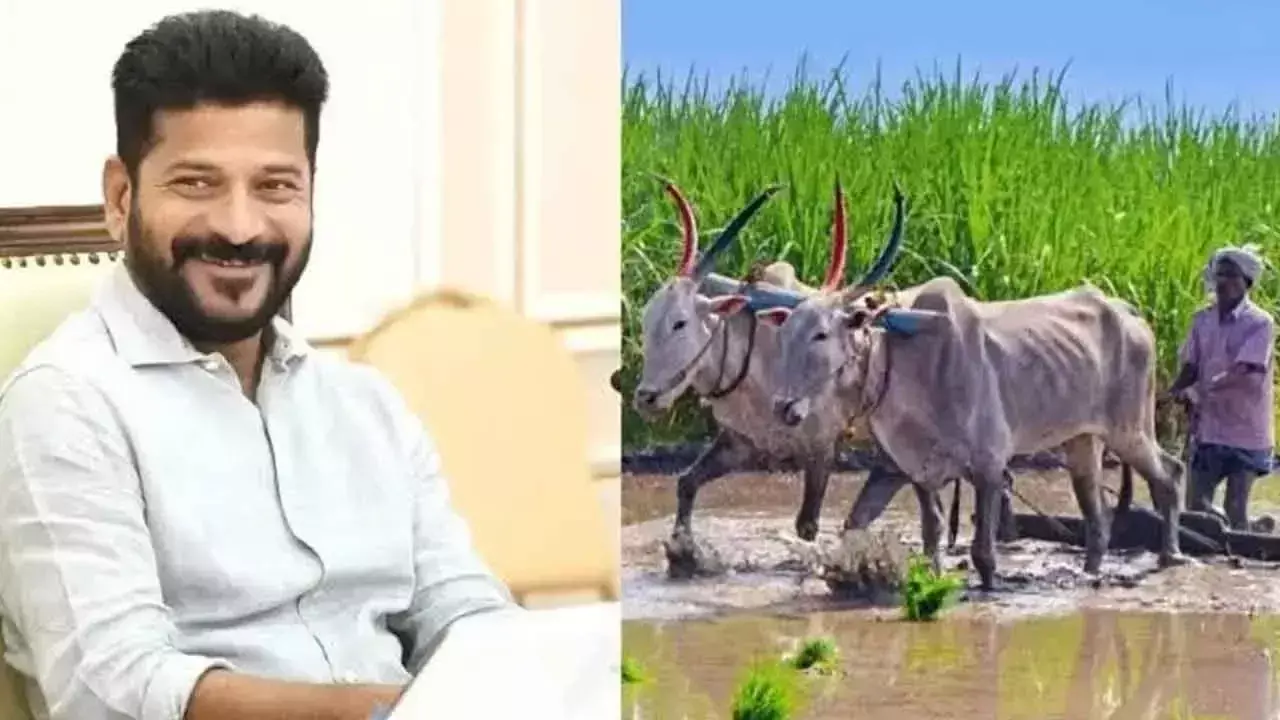 Telangana: रायथु भरोसा विजयोत्सवम आज के लिए पूरी तरह तैयार है Telangana: रायथु भरोसा विजयोत्सवम आज के लिए पूरी तरह तैयार है