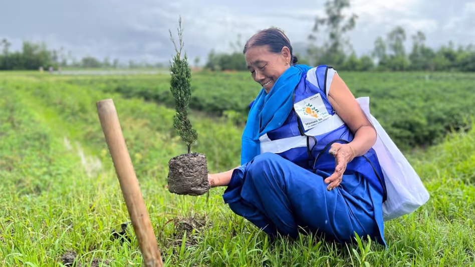 Manipur : अभियान के तहत नंबोल में महिलाओं के नेतृत्व में वृक्षारोपण अभियान आयोजित Manipur : अभियान के तहत नंबोल में महिलाओं के नेतृत्व में वृक्षारोपण अभियान आयोजित