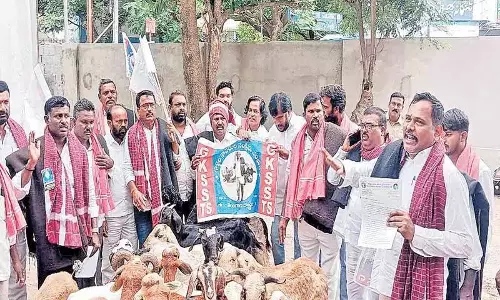 गांधी भवन पर भेड़ों का आक्रमण