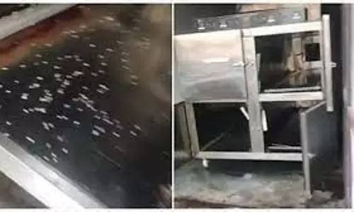 फ्रीजर में कीड़े और करंट, अस्पताल में शव रखने पहुंचे परिजन हैरान फ्रीजर में कीड़े और करंट, अस्पताल में शव रखने पहुंचे परिजन हैरान
