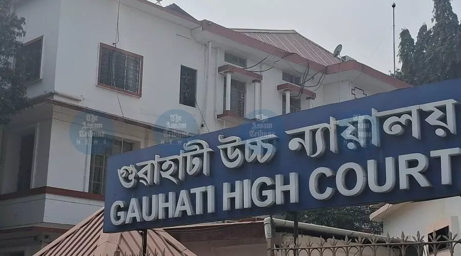 Assam: Gauhati HC ने अम्बारी वृक्ष स्थानांतरण पर सरकार से स्थिति रिपोर्ट मांगी Assam: Gauhati HC ने अम्बारी वृक्ष स्थानांतरण पर सरकार से स्थिति रिपोर्ट मांगी