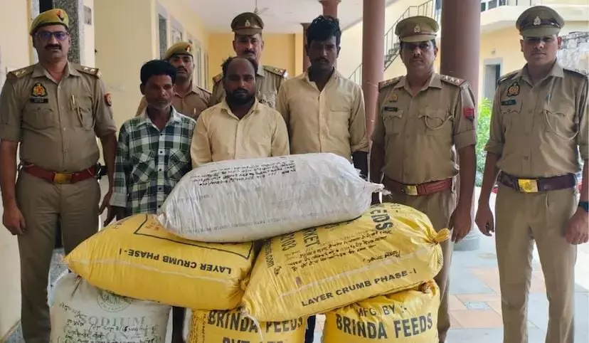 Bareilly: ड्रग तस्करी का भंडाफोड़, 63 किलो डोडा छिल्का जब्त Bareilly: ड्रग तस्करी का भंडाफोड़, 63 किलो डोडा छिल्का जब्त