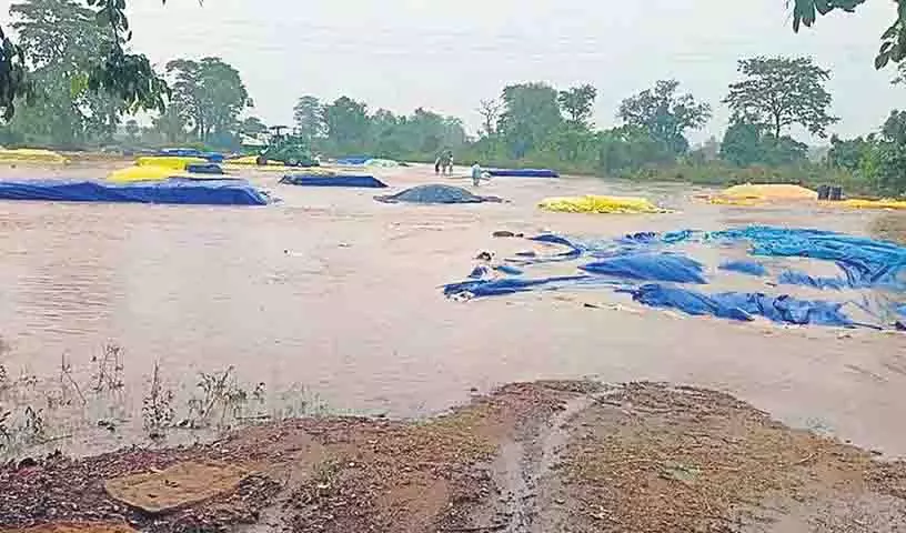Mancherial के कुछ हिस्सों में हल्की से मध्यम बारिश, किसान उत्साहित Mancherial के कुछ हिस्सों में हल्की से मध्यम बारिश, किसान उत्साहित