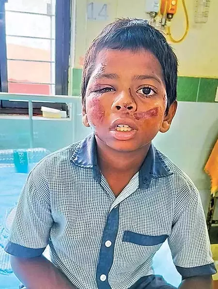 Andhra : छात्रों के जीवन के साथ राजनीति Andhra : छात्रों के जीवन के साथ राजनीति