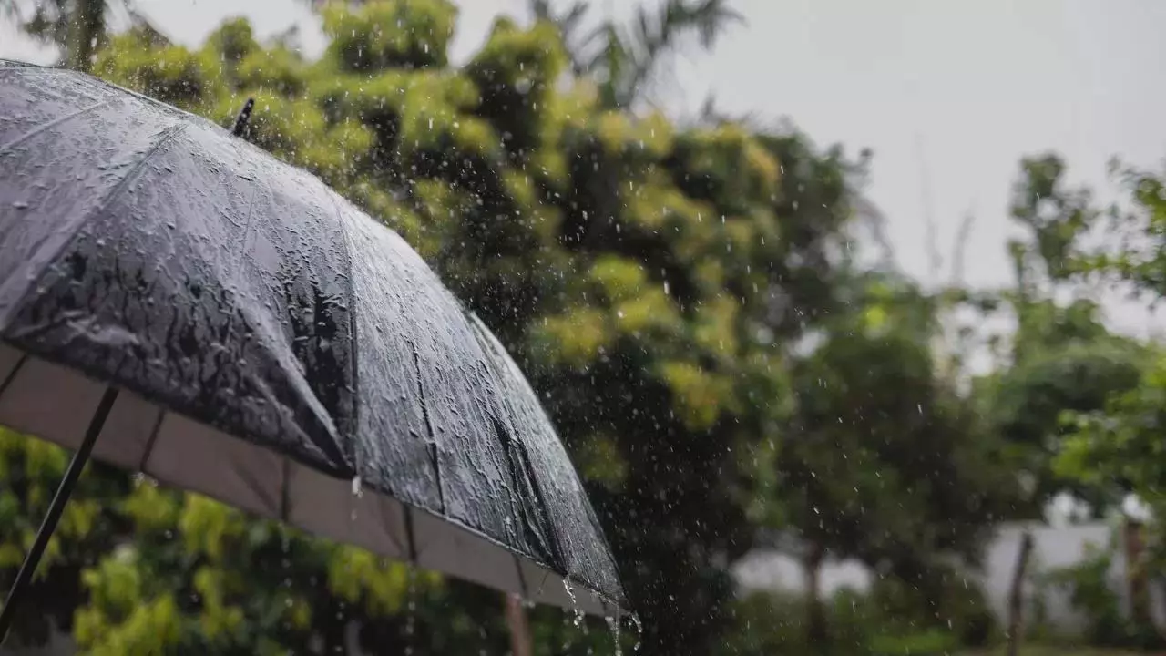 बरसात के मौसम में कौन सी बीमारियाँ सबसे अधिक होती हैं? बरसात के मौसम में कौन सी बीमारियाँ सबसे अधिक होती हैं?