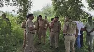 Meerut : खेत के पास पेड़ के नीचे पड़ा मिला युवक का शव, हत्या की आशंका Meerut : खेत के पास पेड़ के नीचे पड़ा मिला युवक का शव, हत्या की आशंका