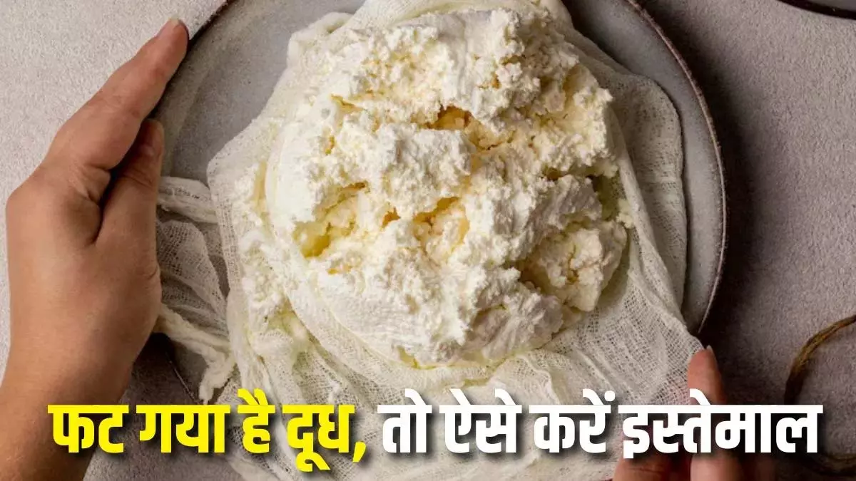 फटे दूध का बेहतरीन उपयोग, ये 5 रेसिपी करें जरूर ट्राई फटे दूध का बेहतरीन उपयोग, ये 5 रेसिपी करें जरूर ट्राई