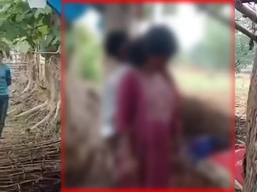 पेड़ से लटकी मिली प्रेमी जोड़े की लाश, मरने से पहले शादी के संकेत मिले पेड़ से लटकी मिली प्रेमी जोड़े की लाश, मरने से पहले शादी के संकेत मिले