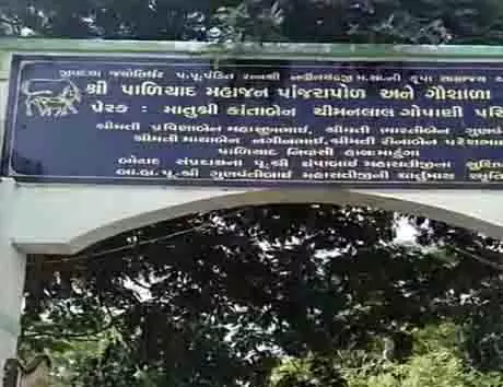पालियाद महाजन पांजरापोल एवं गौशाला ट्रस्ट को ₹25,00,000 का अनुदान पालियाद महाजन पांजरापोल एवं गौशाला ट्रस्ट को ₹25,00,000 का अनुदान