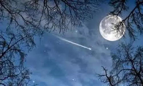Ashadh Amavasya: पितरों को तर्पण देने का सबसे अच्छा अवसर Ashadh Amavasya: पितरों को तर्पण देने का सबसे अच्छा अवसर