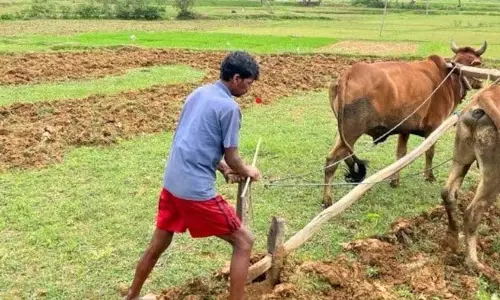 मानसून के दस्तक के साथ ही खेती-किसानी का सिलसिला शुरू
