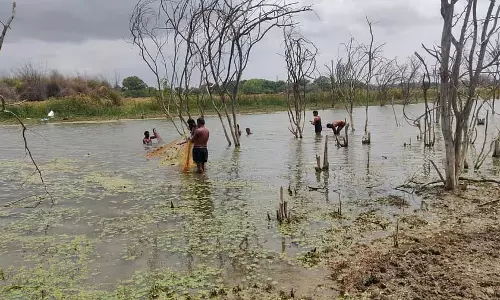 मछली चोरी मामला: 20 लोगों पर जुर्माना
