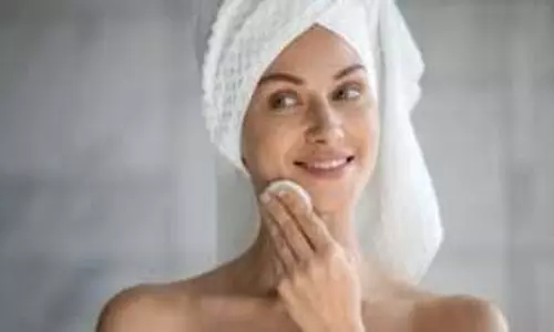 Skin Care:  मानसून में चेहरा रहेगा फूलों सा खिला-खिला, ये 5 नेचुरल चीजें लगाएं