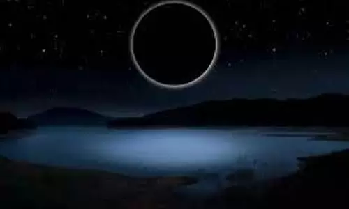 Ashadha Amavasya 2025:आषाढ़ अमावस्या पर लगाएं ये चमत्कारी पौधे, मिलेगी पितृ दोष से मुक्ति