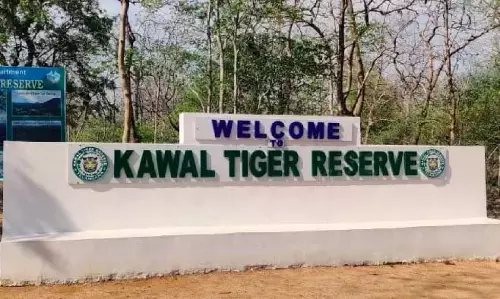 वन अधिकारी Adilabad में मल्ल्याल गांव को स्थानांतरित करने की मांग करेंगे वन अधिकारी Adilabad में मल्ल्याल गांव को स्थानांतरित करने की मांग करेंगे
