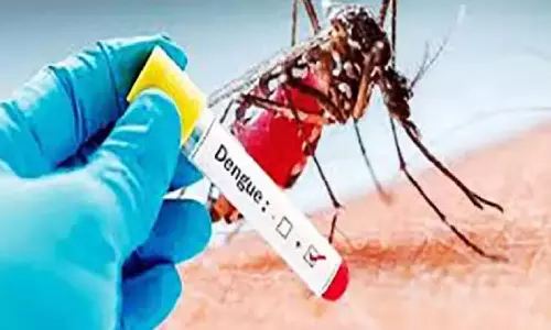 डेंगू बुखार का फिर से प्रकोप; स्वास्थ्य विभाग ने सावधानी बरतने की अपील की डेंगू बुखार का फिर से प्रकोप; स्वास्थ्य विभाग ने सावधानी बरतने की अपील की