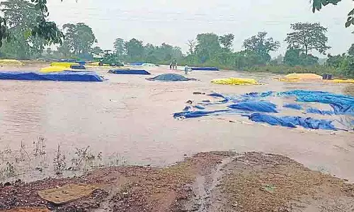Mancherial के कुछ हिस्सों में हल्की से मध्यम बारिश, किसान उत्साहित