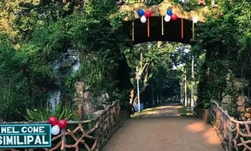 Simlipal टाइगर रिजर्व में आदिवासी अनुष्ठान पर प्रतिबंध को लेकर उड़ीसा उच्च न्यायालय ने नोटिस जारी किया Simlipal टाइगर रिजर्व में आदिवासी अनुष्ठान पर प्रतिबंध को लेकर उड़ीसा उच्च न्यायालय ने नोटिस जारी किया