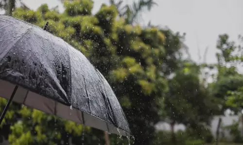 बरसात के मौसम में कौन सी बीमारियाँ सबसे अधिक होती हैं?