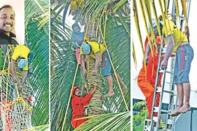 Kochi में नारियल के पेड़ पर व्यक्ति की मौत, घंटों मशक्कत के बाद शव बरामद
