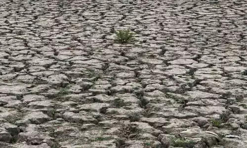मानसून की कमी के कारण Telangana में खरीफ फसल का संकट
