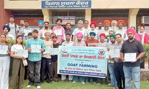 पशु चिकित्सा विश्वविद्यालय रोजगार सृजन के साधन के रूप में बकरी पालन को बढ़ावा देने के लिए प्रतिबद्ध: V-C पशु चिकित्सा विश्वविद्यालय रोजगार सृजन के साधन के रूप में बकरी पालन को बढ़ावा देने के लिए प्रतिबद्ध: V-C