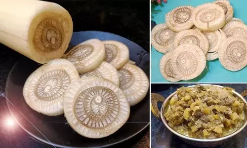 क्या केला आड़ू आपका पसंदीदा है? आप आड़ू कैसे पकाकर खा सकते हैं? क्या केला आड़ू आपका पसंदीदा है? आप आड़ू कैसे पकाकर खा सकते हैं?