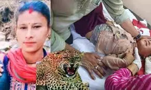 Tehri: गुलदार के हमले से बेटे को मां ने बचाया, एम्स में भर्ती Tehri: गुलदार के हमले से बेटे को मां ने बचाया, एम्स में भर्ती