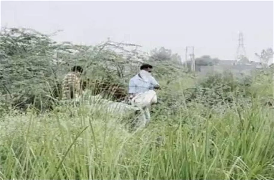 Haryana: व्यक्ति शव मिलने से इलाके में सनसनी Haryana: व्यक्ति शव मिलने से इलाके में सनसनी
