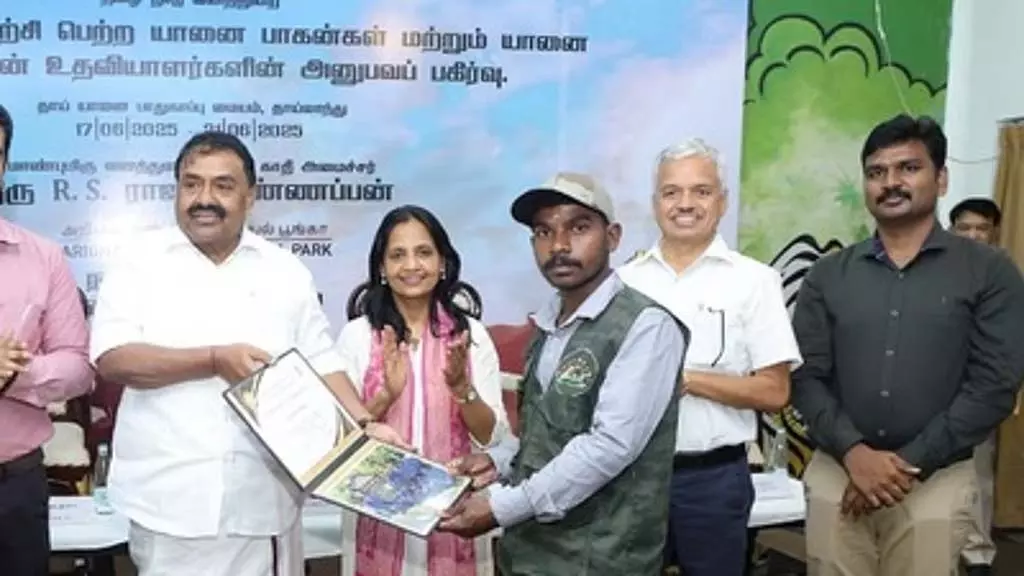 Tamil Nadu : थाईलैंड में प्रशिक्षण से लौटे हाथी पालकों को प्रमाण पत्र प्रदान किए गए Tamil Nadu : थाईलैंड में प्रशिक्षण से लौटे हाथी पालकों को प्रमाण पत्र प्रदान किए गए