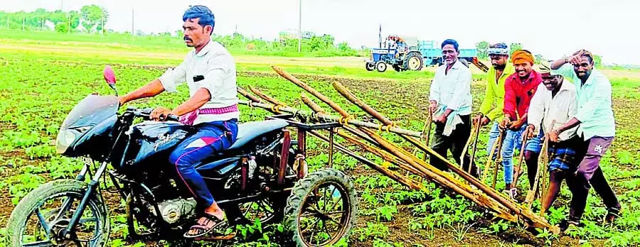 NREGAAL : बैलों की कमी दूर करने के लिए किसान बाइक का इस्तेमाल कर रहे NREGAAL : बैलों की कमी दूर करने के लिए किसान बाइक का इस्तेमाल कर रहे