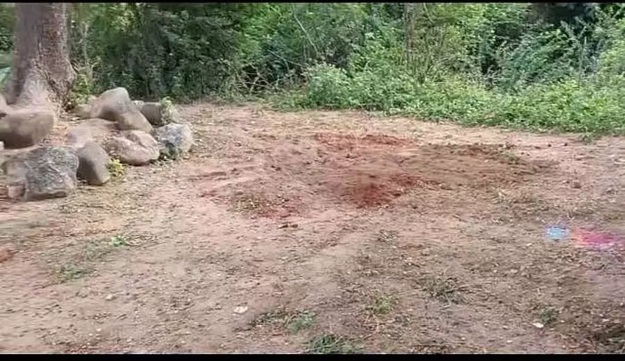 Wadgera : खजाना चोरों के आतंक से ग्रामीणों की नींद हराम Wadgera : खजाना चोरों के आतंक से ग्रामीणों की नींद हराम