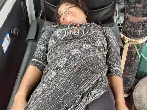 बर्थडे गर्ल की मौत, स्कॉर्पियो ने कुचला बर्थडे गर्ल की मौत, स्कॉर्पियो ने कुचला