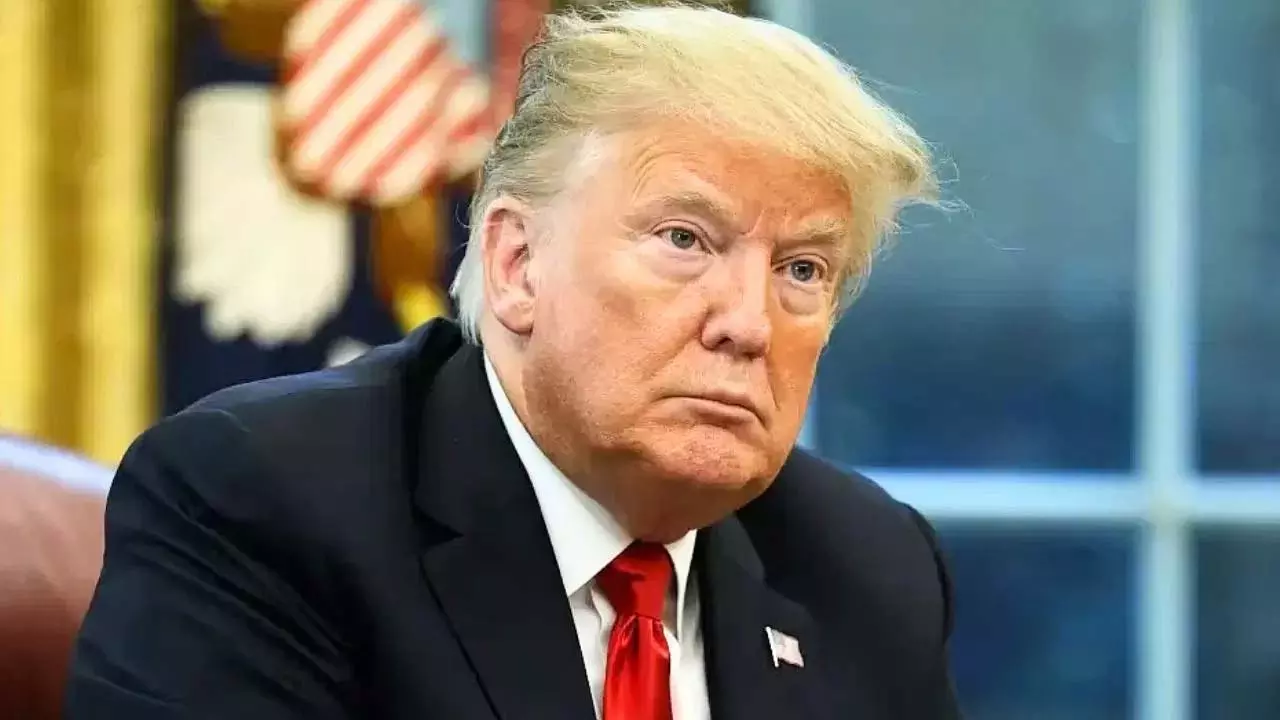 Donald Trump मानसिक रूप से स्वस्थ नहीं हैं, इसलिए उन्हें कुछ पता नहीं: भतीजे फ्रेड ट्रम्प III Donald Trump मानसिक रूप से स्वस्थ नहीं हैं, इसलिए उन्हें कुछ पता नहीं: भतीजे फ्रेड ट्रम्प III