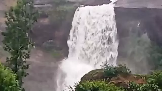 वलपराई में भारी बारिश: झरने से बह रहा पानी वलपराई में भारी बारिश: झरने से बह रहा पानी