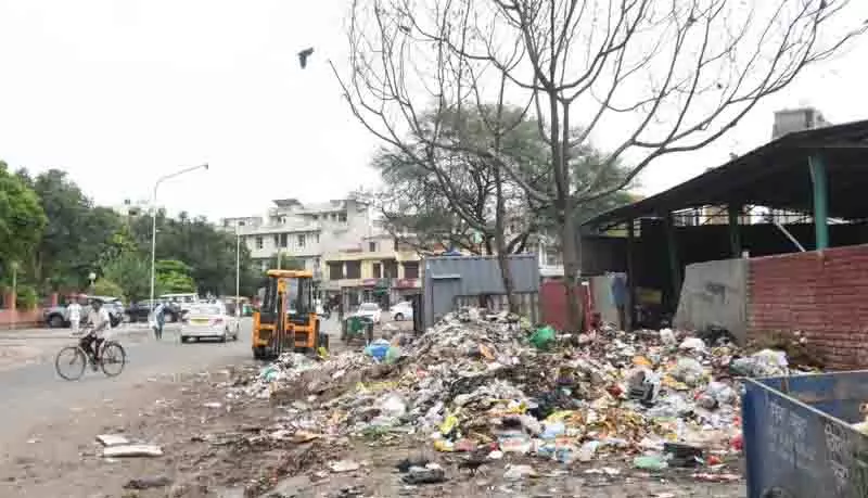 Mohali में सड़क किनारे कूड़ा फेंकने की समस्या का स्थायी समाधान मांगा गया Mohali में सड़क किनारे कूड़ा फेंकने की समस्या का स्थायी समाधान मांगा गया