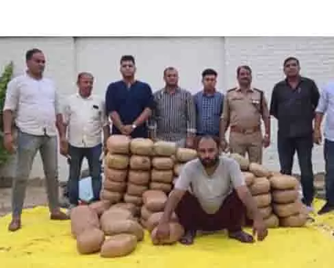 UP पुलिस ने 1.5 करोड़ रुपये कीमत का 275 किलोग्राम गांजा जब्त किया, एक गिरफ्तार UP पुलिस ने 1.5 करोड़ रुपये कीमत का 275 किलोग्राम गांजा जब्त किया, एक गिरफ्तार