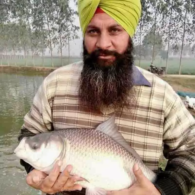 Ludhiana: मछली पालक औजला ने उद्यमी के रूप में बनाई लहरें Ludhiana: मछली पालक औजला ने उद्यमी के रूप में बनाई लहरें