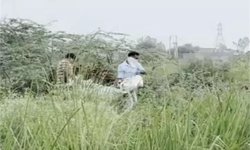 Haryana: व्यक्ति शव मिलने से इलाके में सनसनी Haryana: व्यक्ति शव मिलने से इलाके में सनसनी