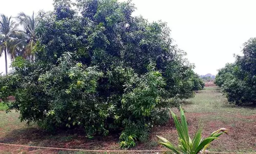 केंद्र और राज्य सरकारें मिलकर आम किसानों को प्रोत्साहन दे रही हैं: मंत्री चक्रपाणि से साक्षात्कार