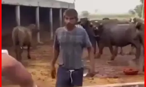 वायरल वीडियो ने दिलाई आजादी...ऐसे मिली नई जिंदगी