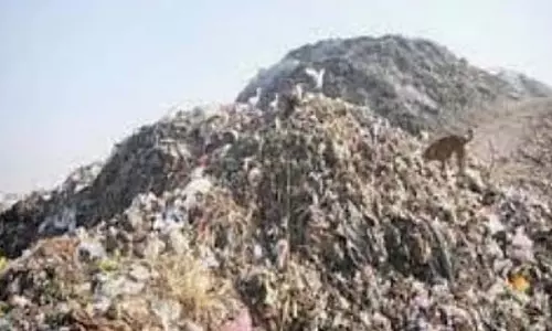Margao में सोनसोडो शहरी वन परियोजना पर उपेक्षित पौधों ने संदेह पैदा किया