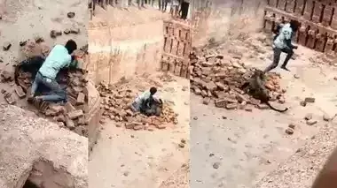 Lakhimpur: तेंदुए का युवक पर अचानक हमला, मची अफरा-तफरी