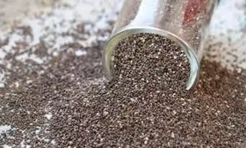 Chia seeds: बालों के लिए भी वरदान हैं चिया बीज, बस ऐसे करें इस्तेमाल
