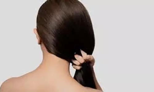 Hair Care Tips: झड़ते बालों के लिए रामबाण है नारियल तेल, इन चीजों को मिलाकर करें इस्तेमाल Hair Care Tips: झड़ते बालों के लिए रामबाण है नारियल तेल, इन चीजों को मिलाकर करें इस्तेमाल